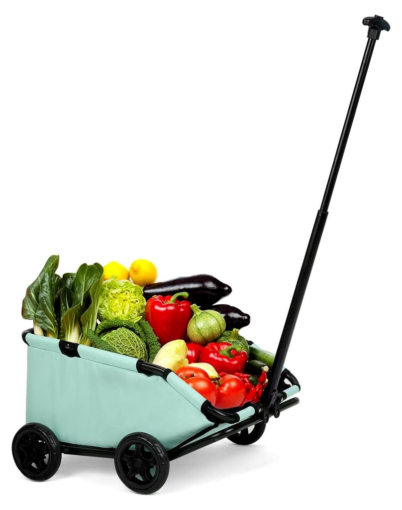 Faltbarer Mini-Hundewagen für kleine Haustiere mit ausziehbarem Griff und Sicherheitsseil, inklusive Kissen und Aufbewahrungstasche (Blaugrün)