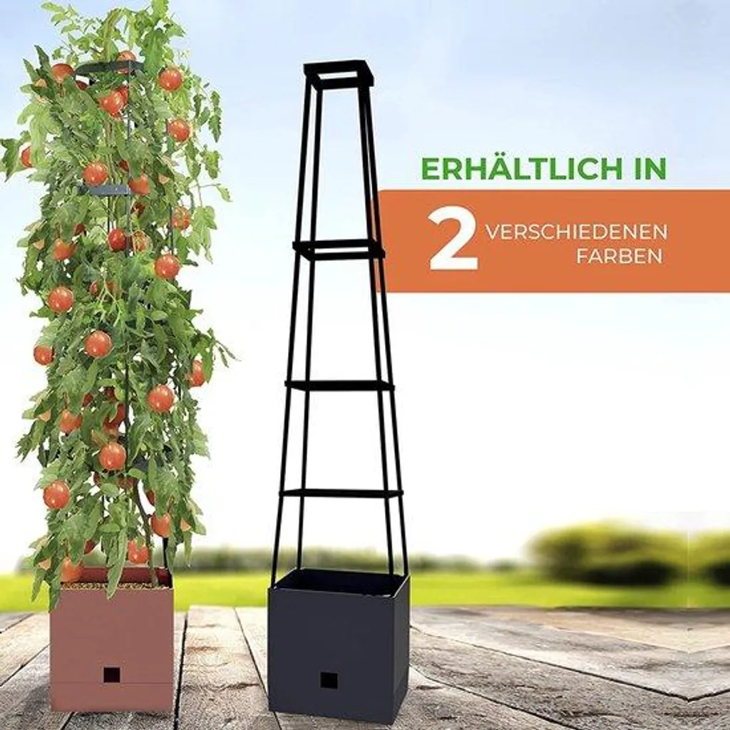 Système de culture pour tomates sur balcon avec réservoir d'eau 2L