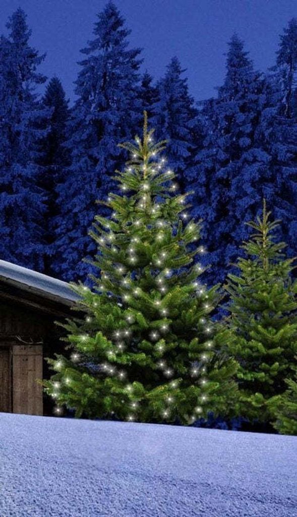 Star-Max Lichterschnüre mit 160 LEDs - 8 Stränge je 2m Produktbild 12