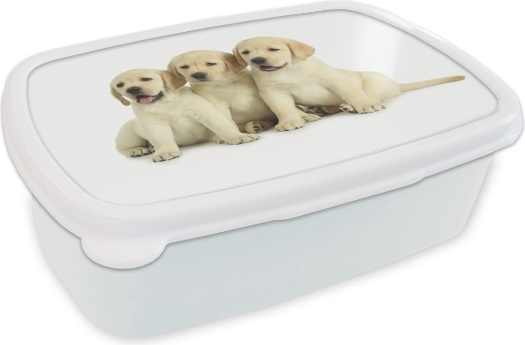 KitchenYeah Lunchbox Brotzeit Brotdose 17x11 cm Drei Labradorwelpen Kinder Brotzeitdose - Lunch Box - Kinder - Sandwich-Box - Schulbox - Lunch Boxen
