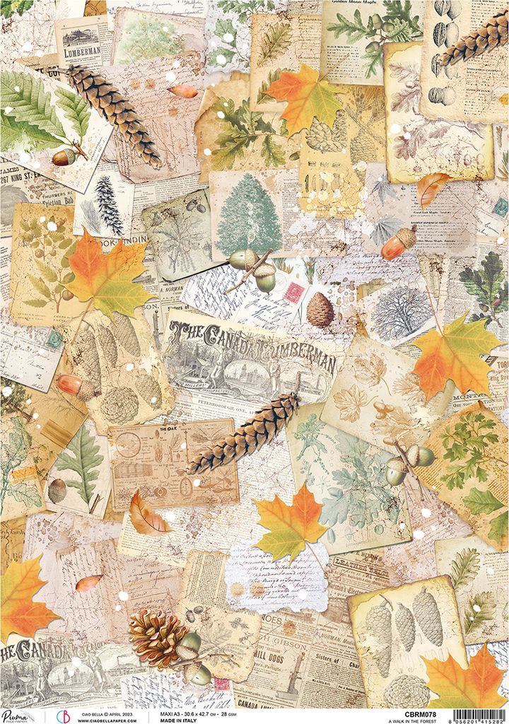Ciao Bella Motiv Strohseide Herbststimmung A3 28g/qm Bastelpapier Dekopapier