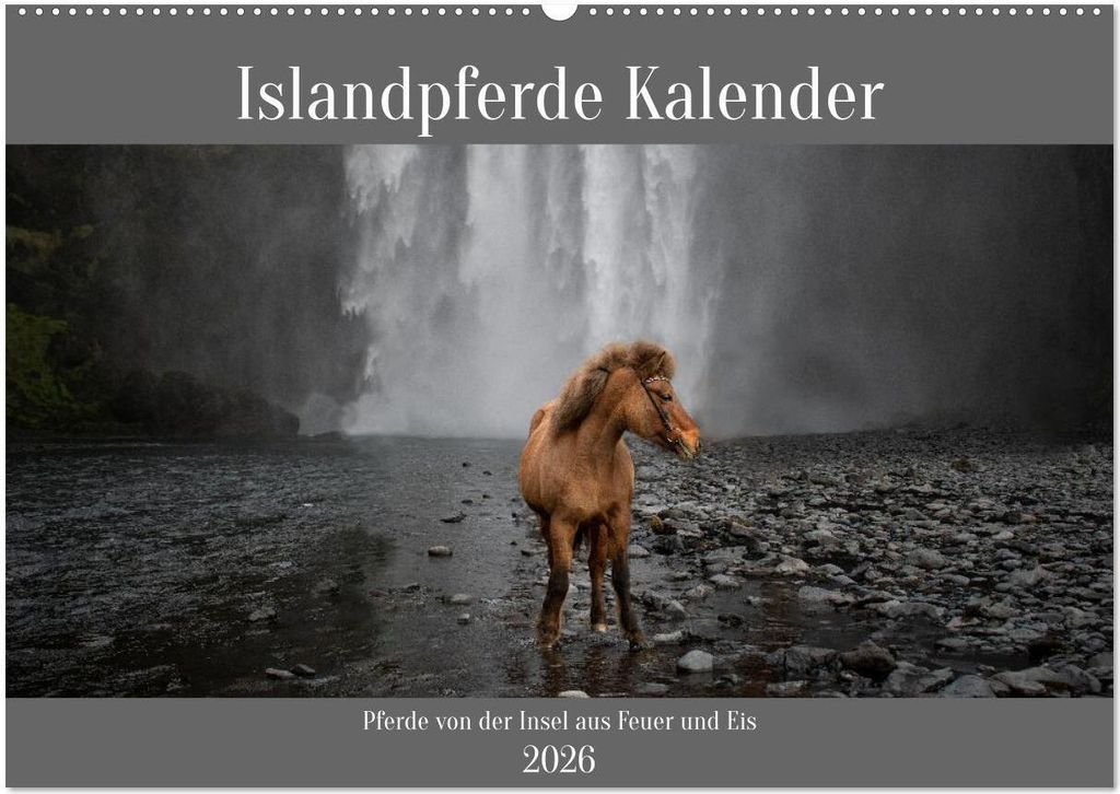 Islandpferde Kalender - Pferde von der Insel aus Feuer und Eis (Wandkalender 2026 DIN A2 quer), CALVENDO Monatskalender
