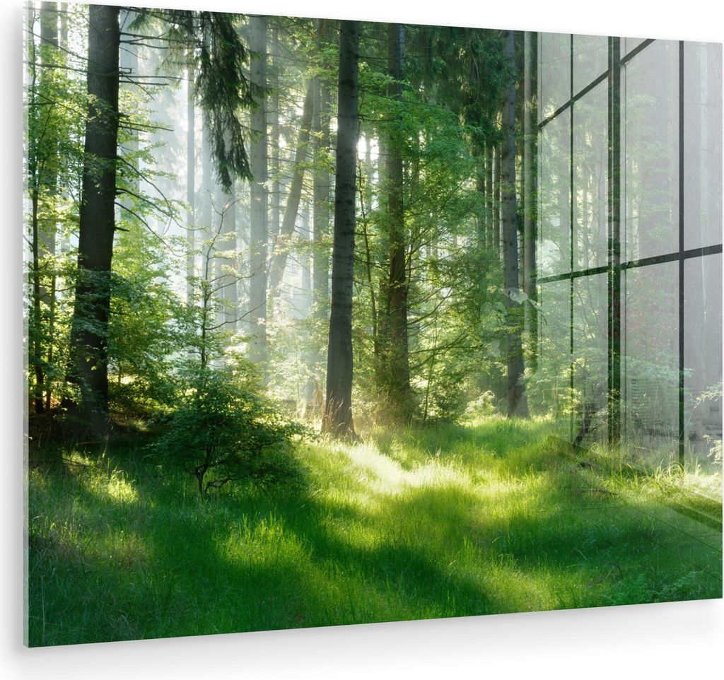 MuchoWow Glasbilder - Bilder auf Wandbild - Foto auf Glas Natur - Bäume - Wald - Grün - Sonne - Gras - Pflanzen 80x60 cm Wanddekoration aus Glas ...