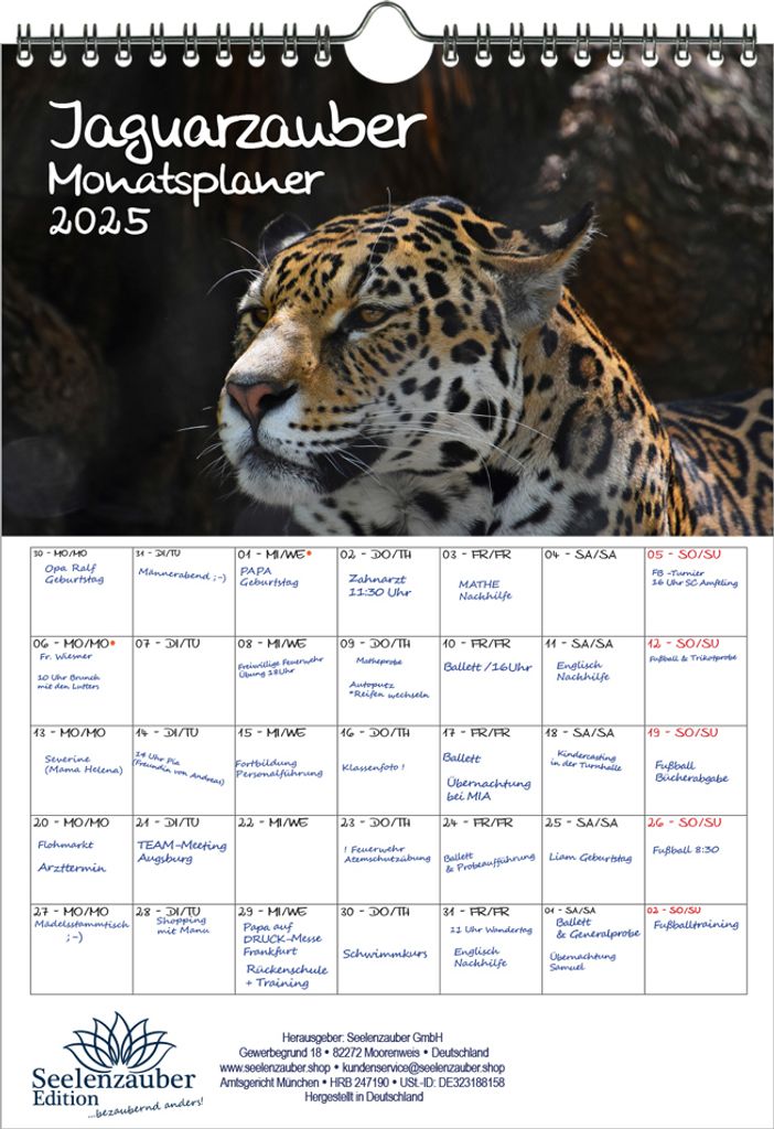 Jaguarzauber Planer DIN A4 Kalender für 2025 Jaguar - Seelenzauber