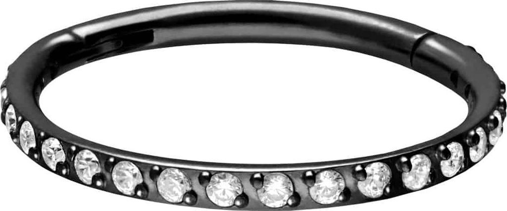 Ohrpiercing, Nasenpiercing, Septum Piercing Titan Segmentring Clicker EINGEFASSTE KRISTALLE Schwarz Innendurchmesser: 11mm + Stabstärke: 1,2mm