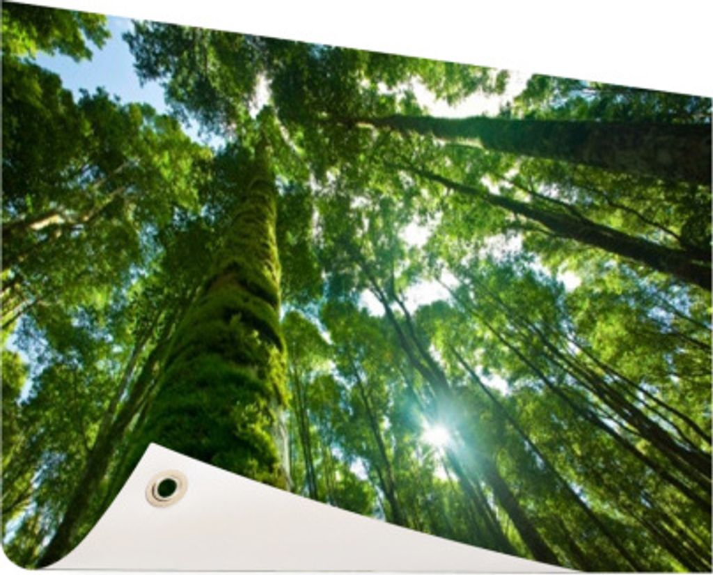 Gartenposter - 120x80 cm - Tropischer Dschungel in Asien - Modernes Wandbilder - Natur