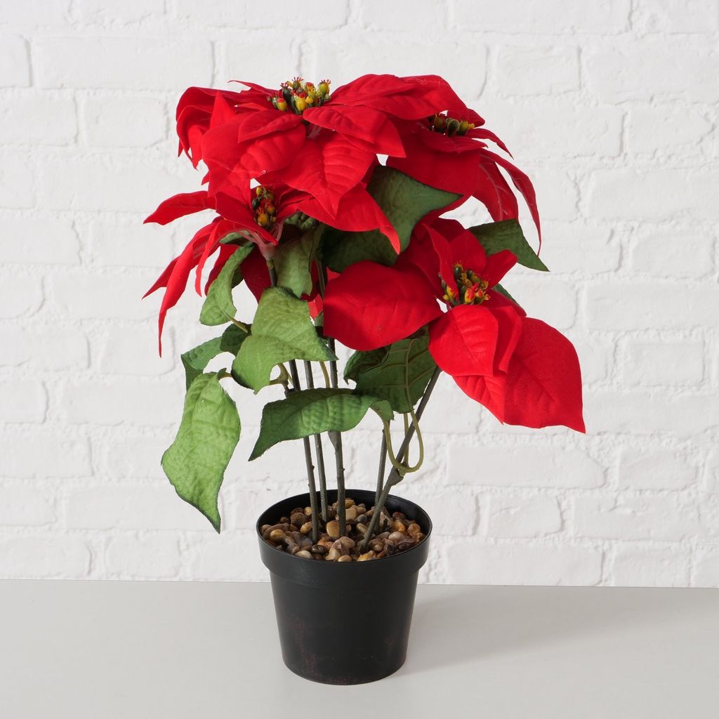 Boltze Gruppe Weihnachtsstern Topfpflanze Plastik 40cm