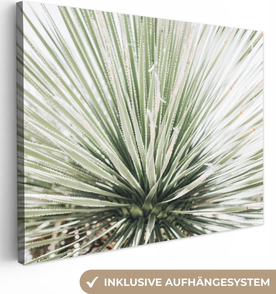 MuchoWow - Leinwandbilder - Grün - Blätter - Natur, Wandbild, Wanddeko Bilder Wohnzimmer, 80x60 cm