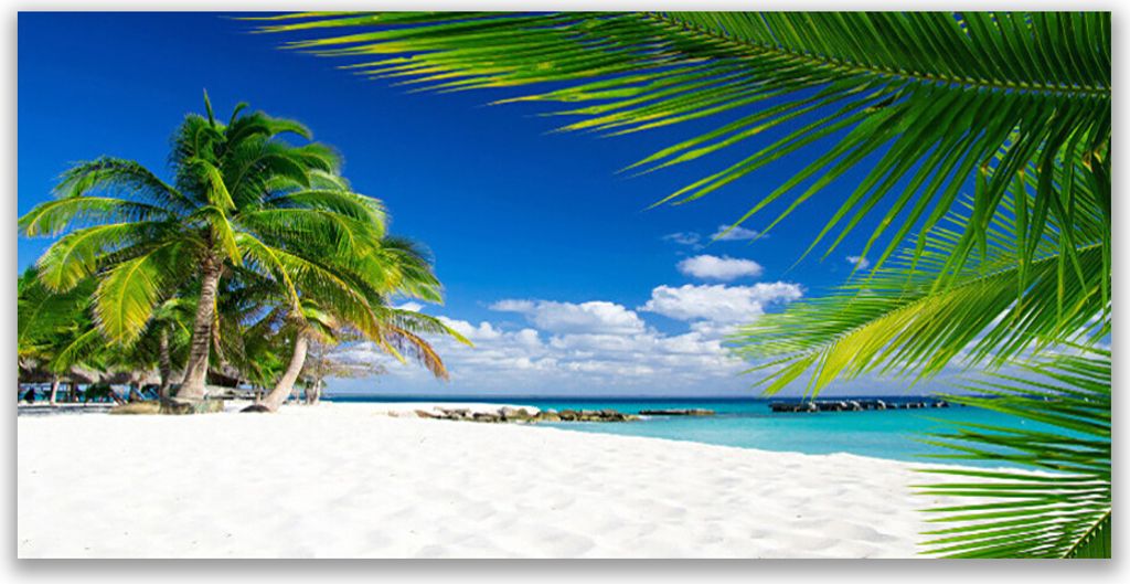Tulup Leinwand-Bilder 120x60 Wandbild Canvas Kunstdruck Strand Palmen Landschaft
