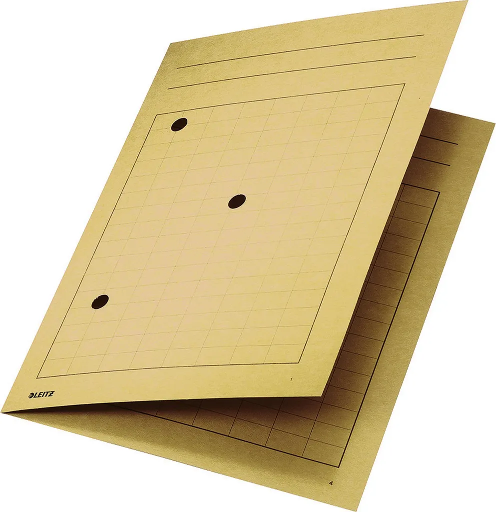 Leitz 3998-00-11 Cartella A4 Manila 320g - Alta Resistenza e Visibilità