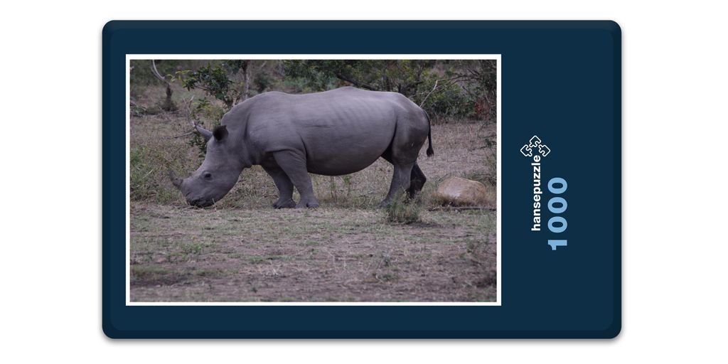 hansepuzzle 10343 - Nashorn Puzzle, 1000 Teile, Natur, 60,0 x 46,0cm mit hochwertiger Aufbewahrung, Kartonbox und wiederverschließbarem Beutel