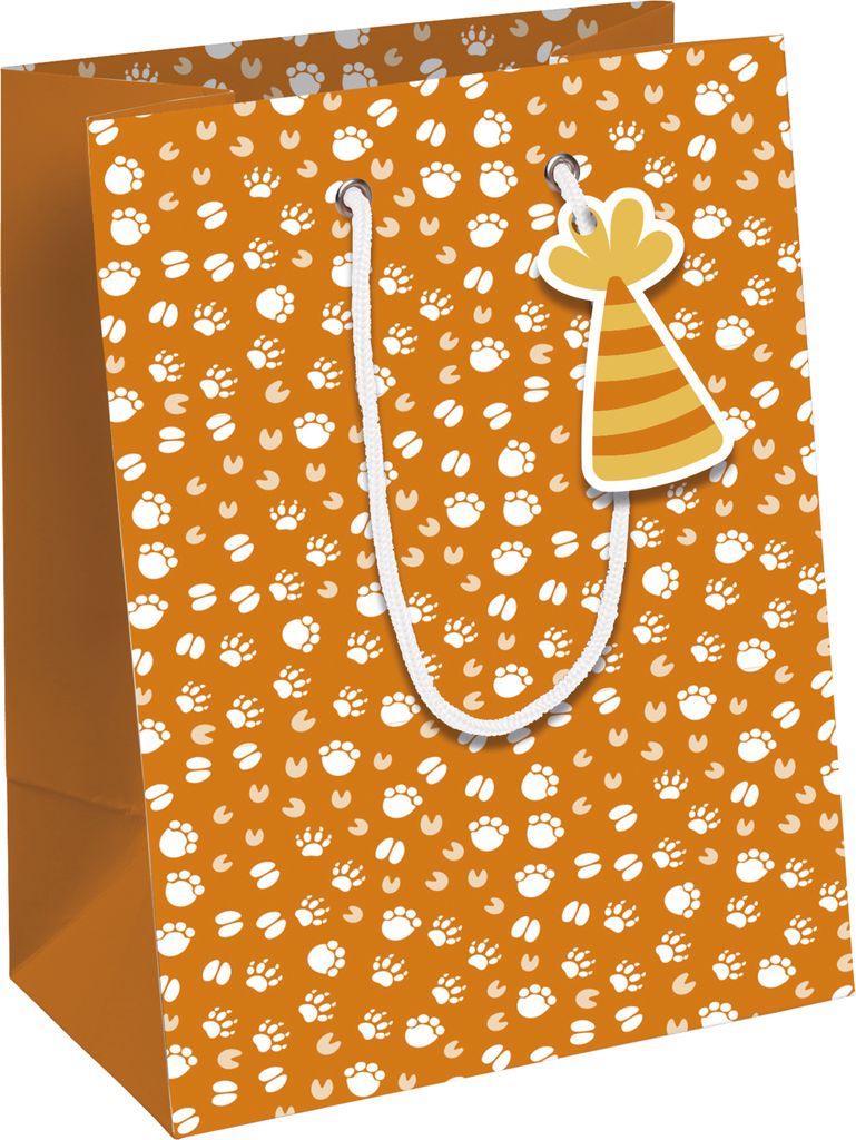 Clairefontaine 6x Safari, Kraft weiß, Tasche M 21,5x10,2x25,3cm Orange 32505-3C