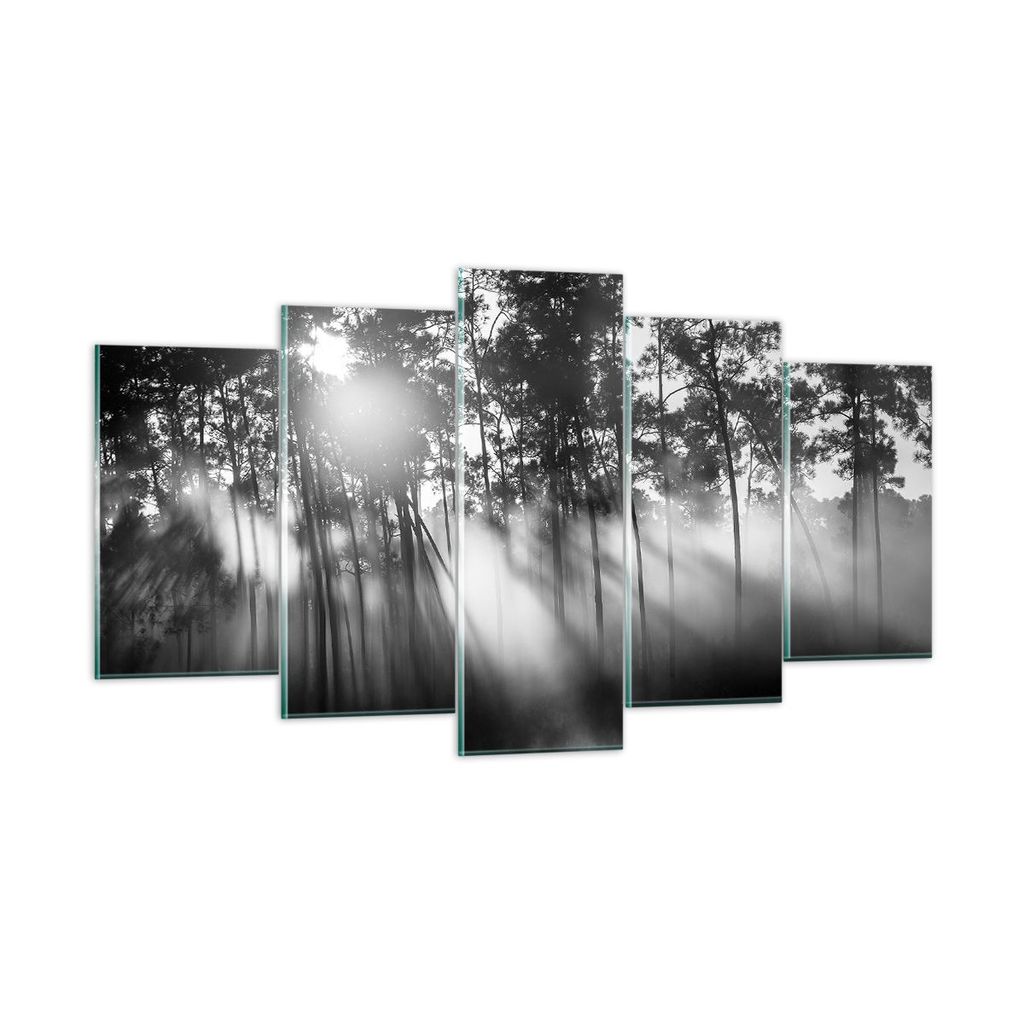 Bilder auf glas - 5 Teile - Wald Kiefer Sonne - 160x85cm - Glasbilder - Wandbilder - Bilder - zum Aufhängen bereit - Wanddekoration aus Glas - Gla...