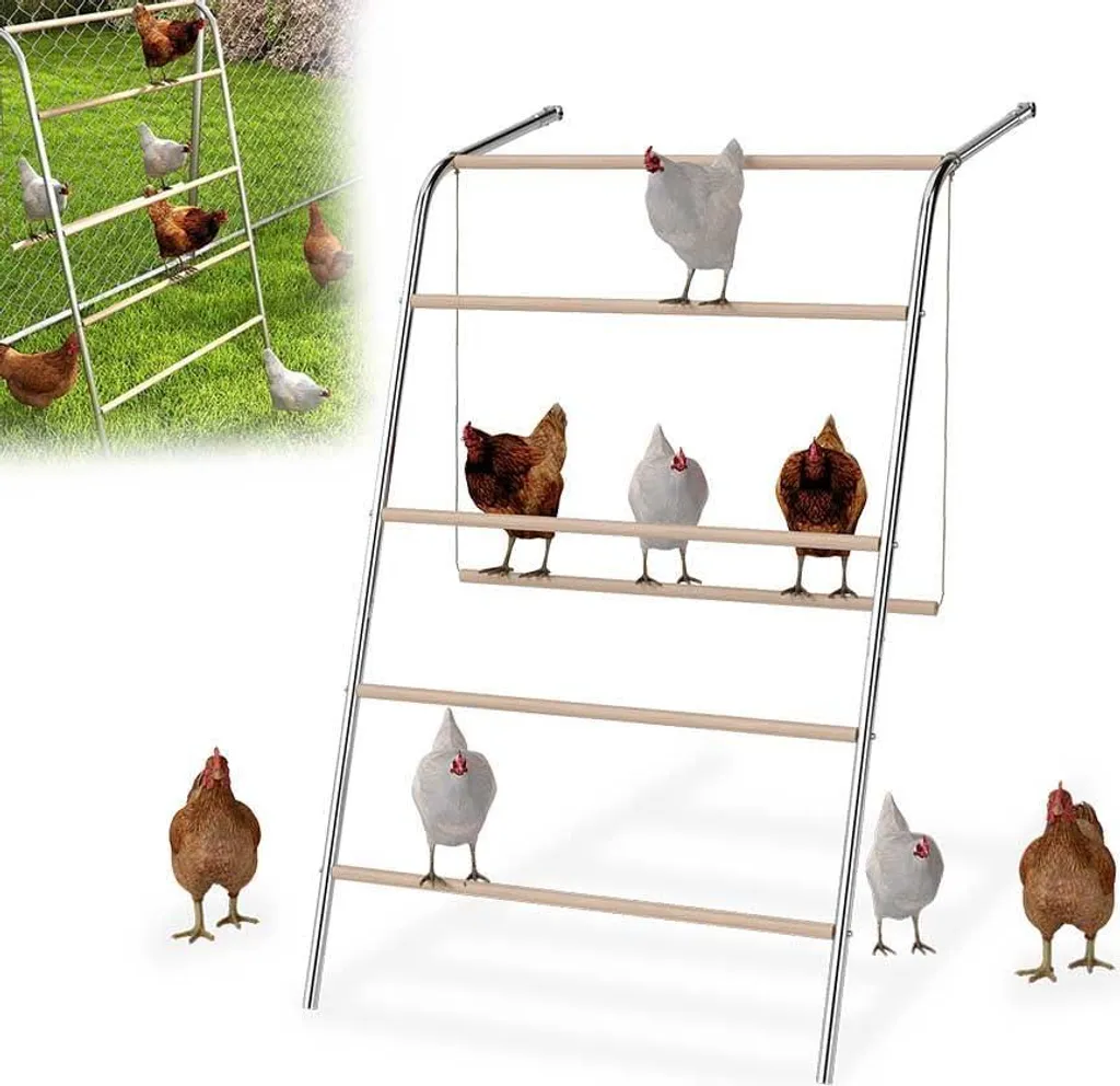 Aire de jeu pour poules avec perchoir 5 marches et balançoire en bois