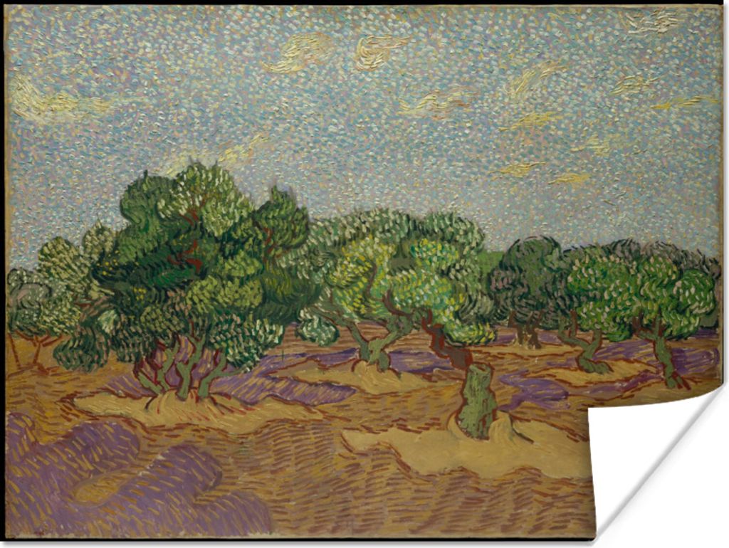 MuchoWow Poster Olivenbäume - Vincent van Gogh 80x60 cm - Kunst für zu Hause