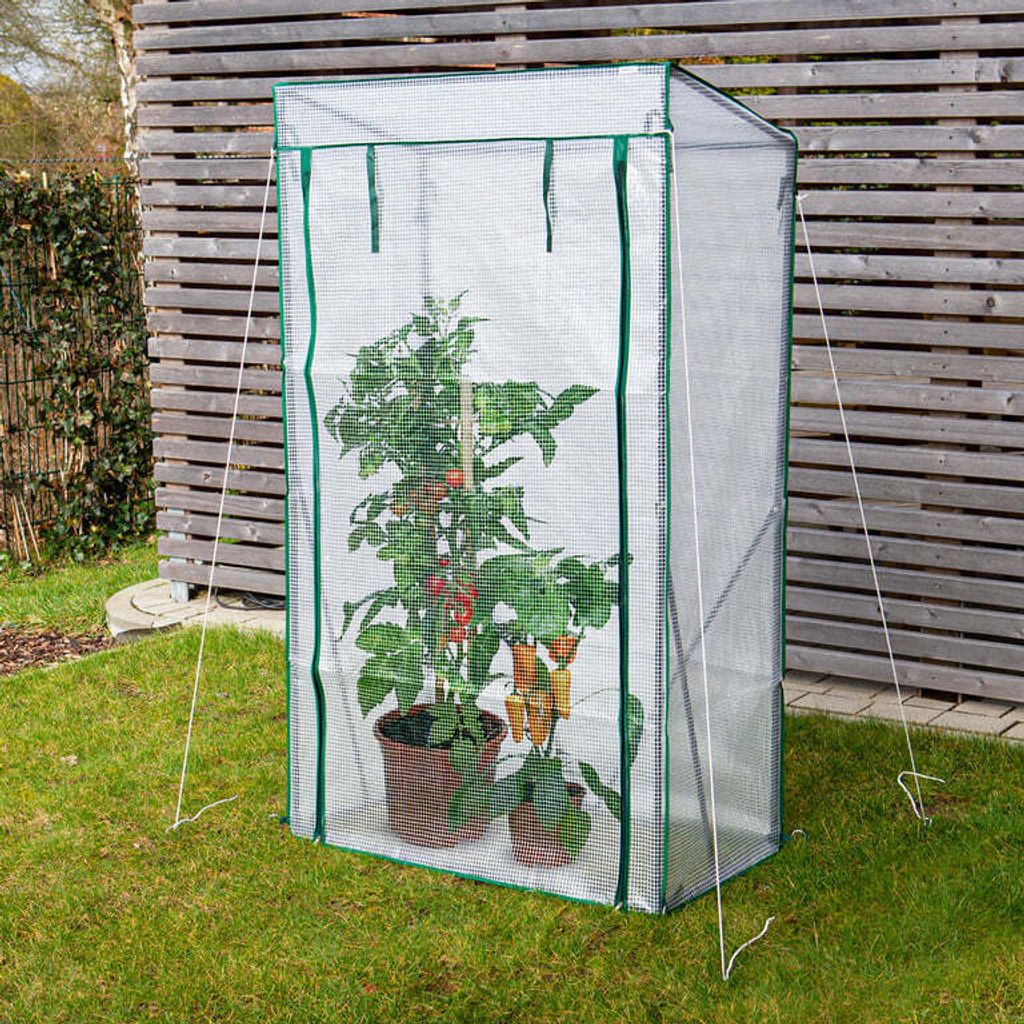 Hoberg Folien-Gewächshaus Treibhaus & Tomatenhaus Garten Produktbild 7