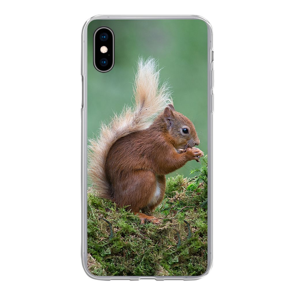 MuchoWow Handyhülle Schutzhülle Hülle für iPhone Xs Eichhörnchen - Wald - Moos Silikon Softcase Handy Hülle - Handytasche