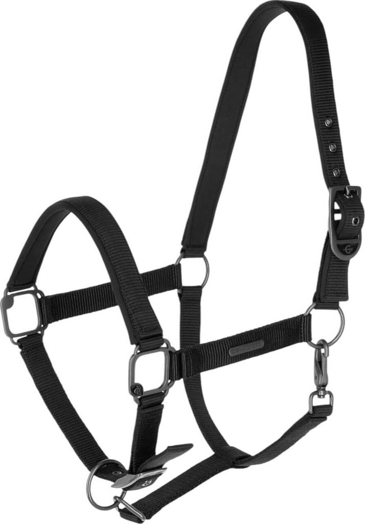 Covalliero Halfter black FS 2025, Größe:Cob