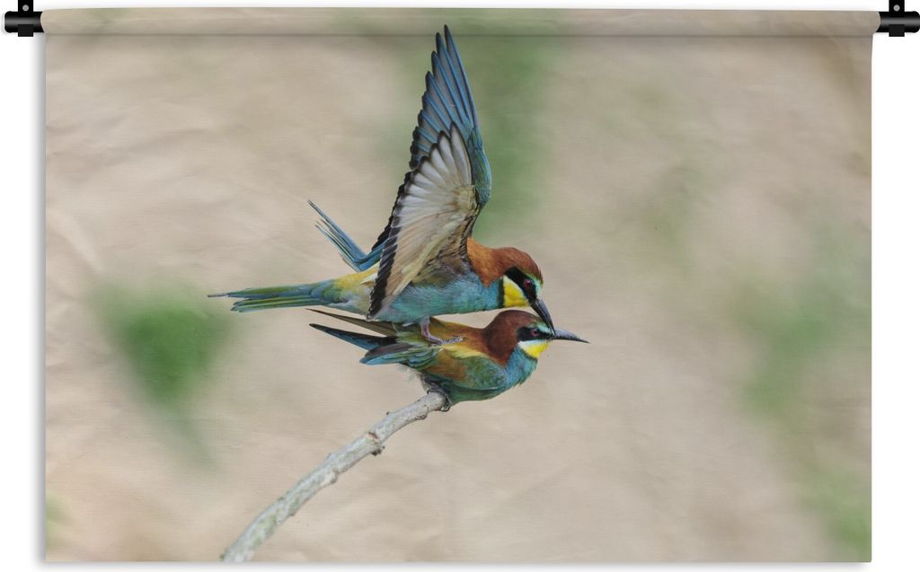MuchoWow Wandteppich Wandbehang Bienenfresser (Merops apiaster) bei der Kopulation, Gerolsheim, Rheinland-Pfalz, Deutschland 150x100 cm Tapisseri...