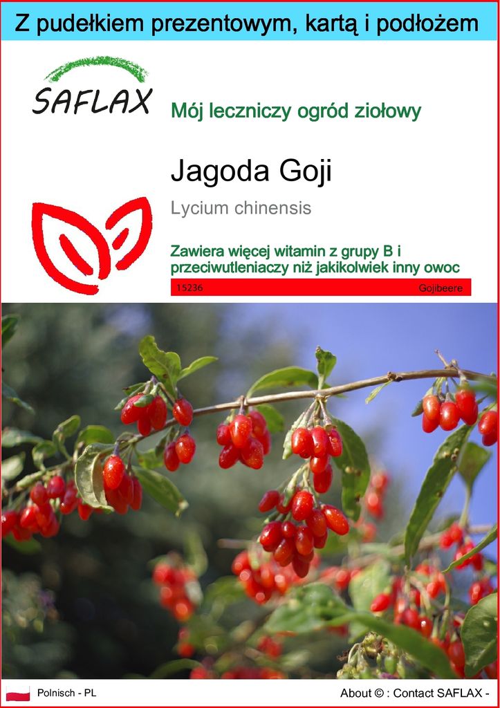 SAFLAX - Zestaw prezentowy - Jagoda Goji - 200 Nasiona - Z Zdjęcie produktu 