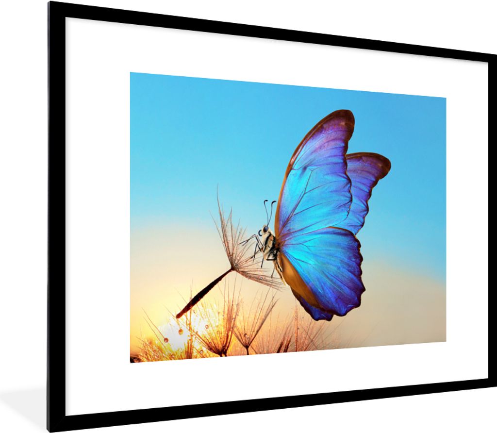 MuchoWow Gerahmtes Poster Schmetterling - Löwenzahn - Blau 80x60 cm - Poster mit Schwarzem Bilderrahmen Wandposter Rahmen Foto Bilder - Schlafzi...