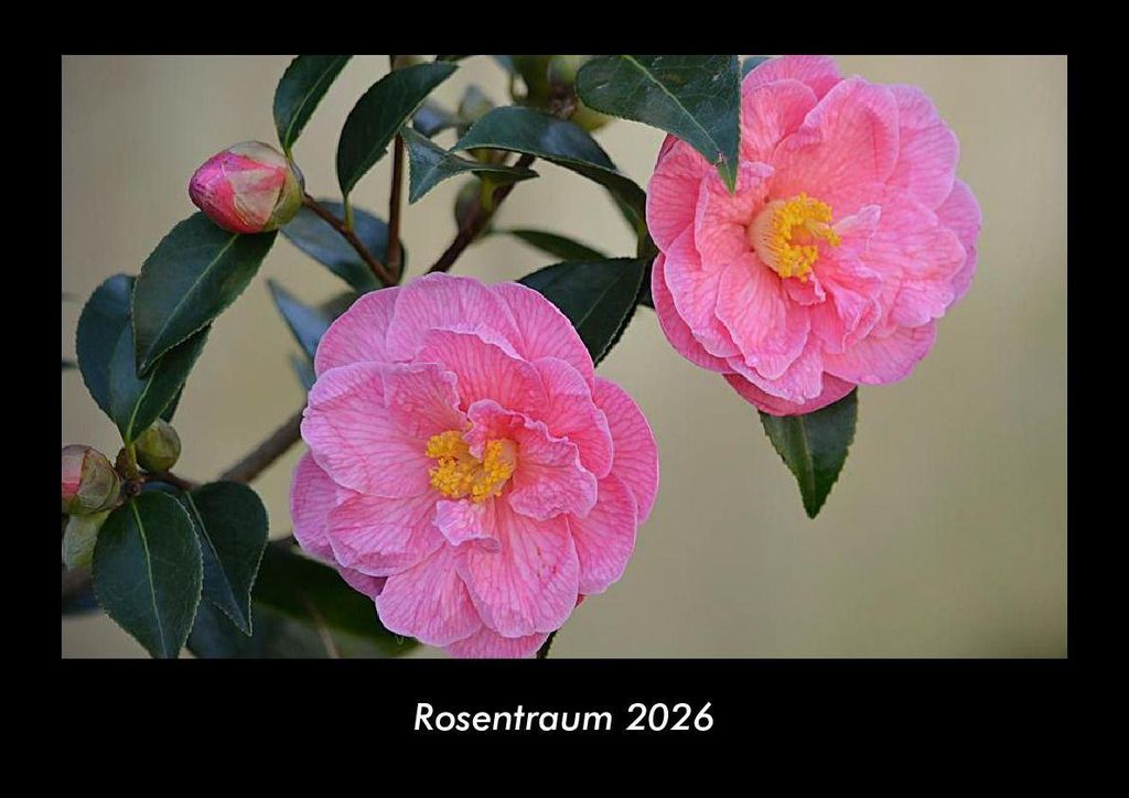 Rosentraum 2026 Fotokalender - Querformat DIN A3, Monatskalender mit Bild-Motiven aus Fauna und Flora, Natur, Blumen und Pflanzen