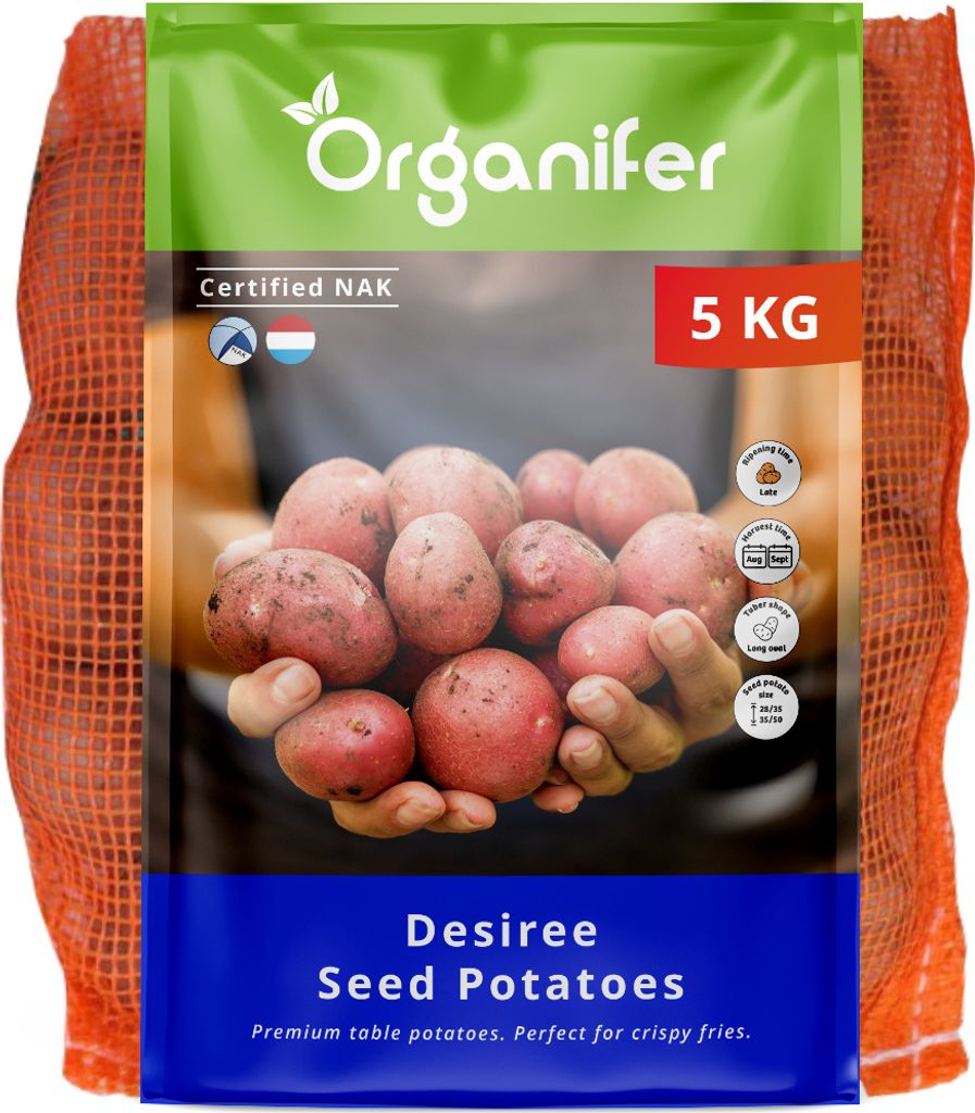 Saatkartoffeln Desiree A 28/35 (5 kg) - Organifer