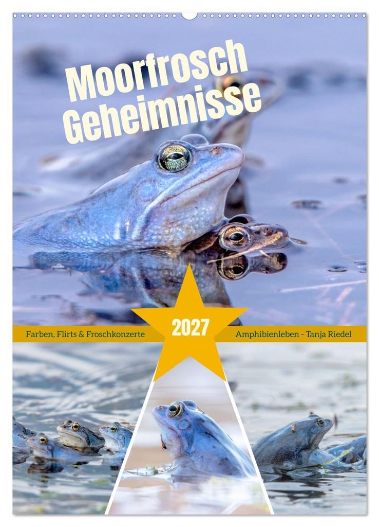 Moorfrosch Geheimnisse – Farben, Flirts & Froschkonzerte - Tanja Riedel (Wandkalender 2027 DIN A2 hoch), CALVENDO Monatskalender