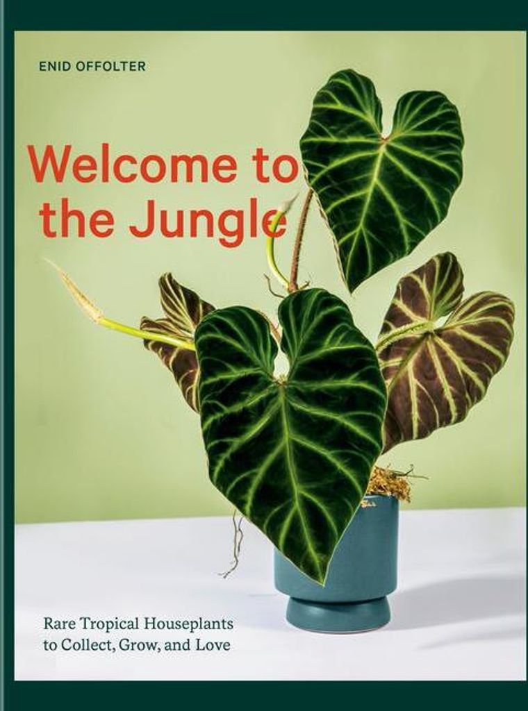 Welcome to the Jungle