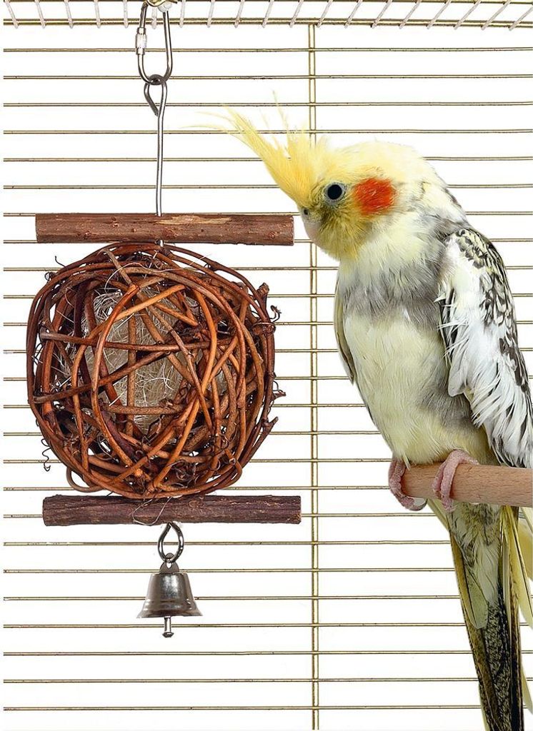 Karlie Wooden Bird Vogelspielzeug Spielball Holz Naturball braun, Farbe:braun, Größe:ø 5 cm