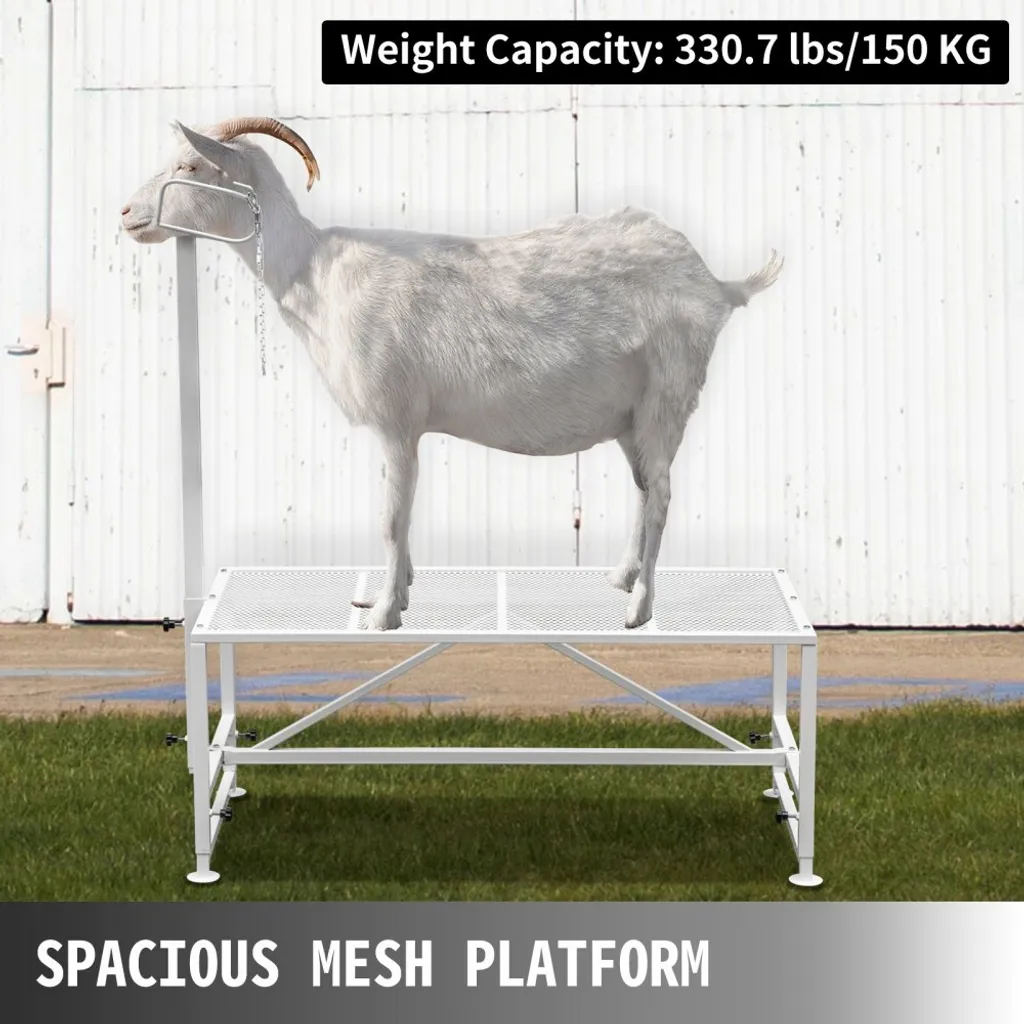 Support pour bétail caprin 51x23 pouces - Stand de contention robuste