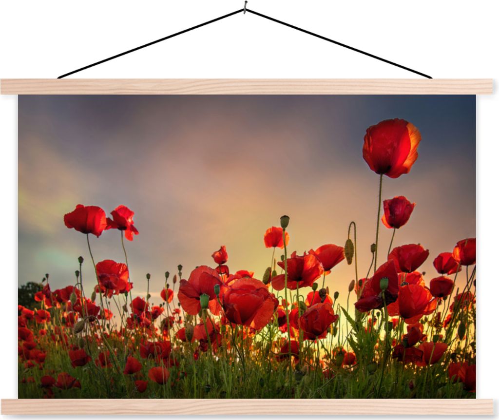 MuchoWow Textilposter Bunter Himmel über einem Mohnblumenfeld in Dänemark 60x40 cm mit holzfarbenen Rahmen - Bilder