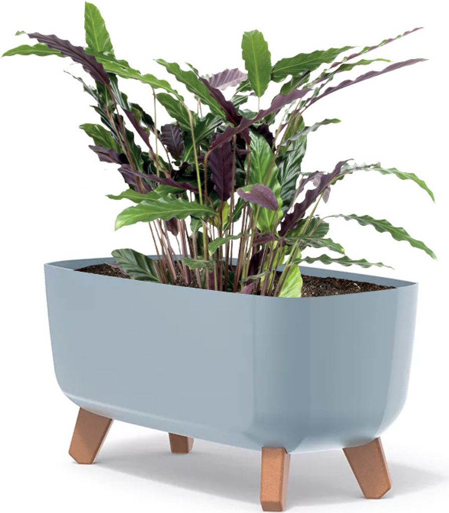 Gracia Case DGCL400 Blumentopf - Hellgrau Produktbild 