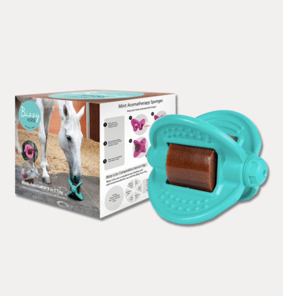 Bizzy Horse Bizzy Ball Leckstein Halterung Pferd Aquamarin