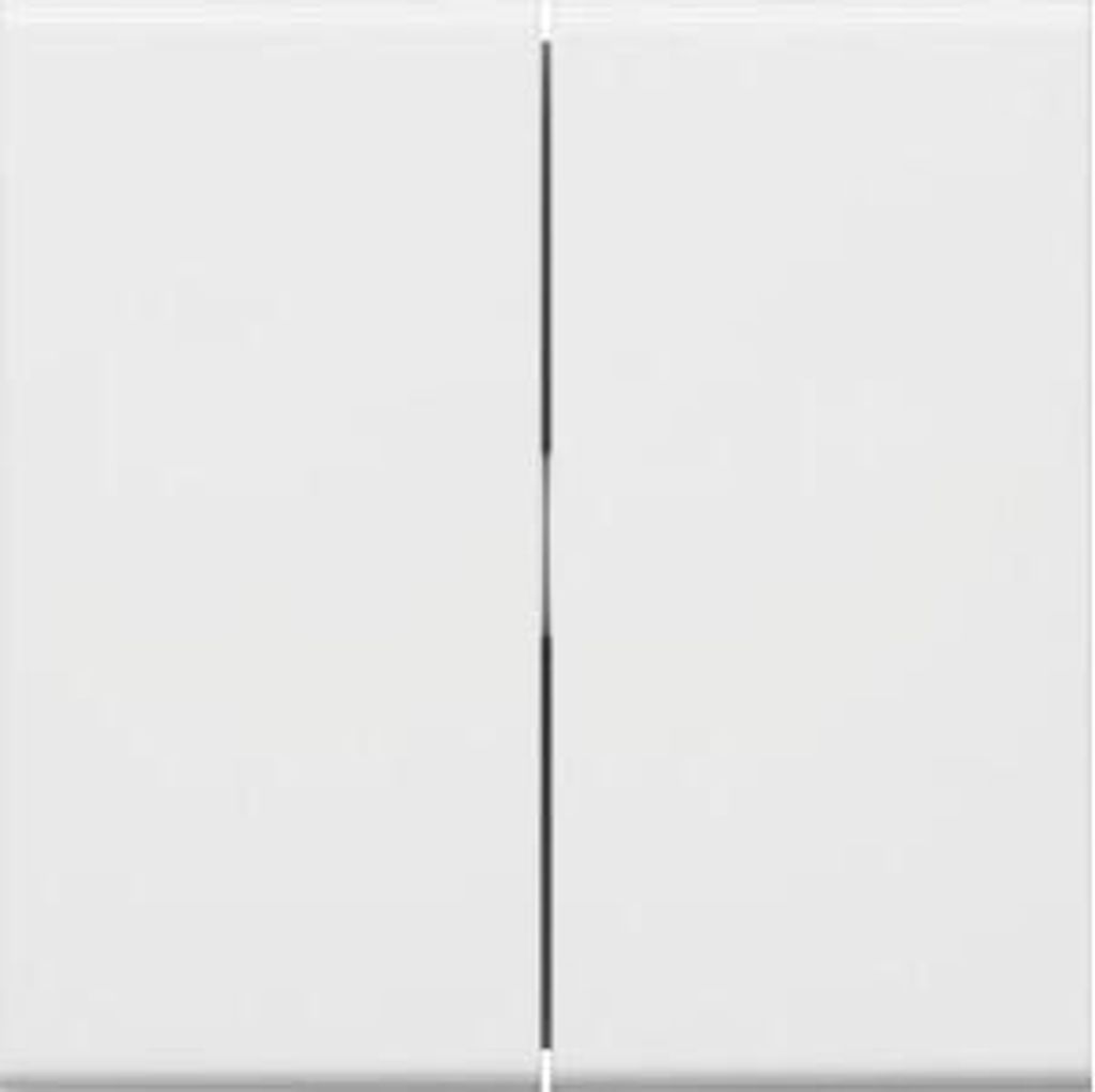 Tehalit Wippe 2-fach für Schalter/ GW2B vws GW2B9016