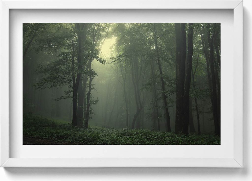 Nebliger Wald am Morgen– Wandbild mit Rahmen – Gerahmtes Bild – Wanddekoration – 60x40 cm – Schwarz Rahmen