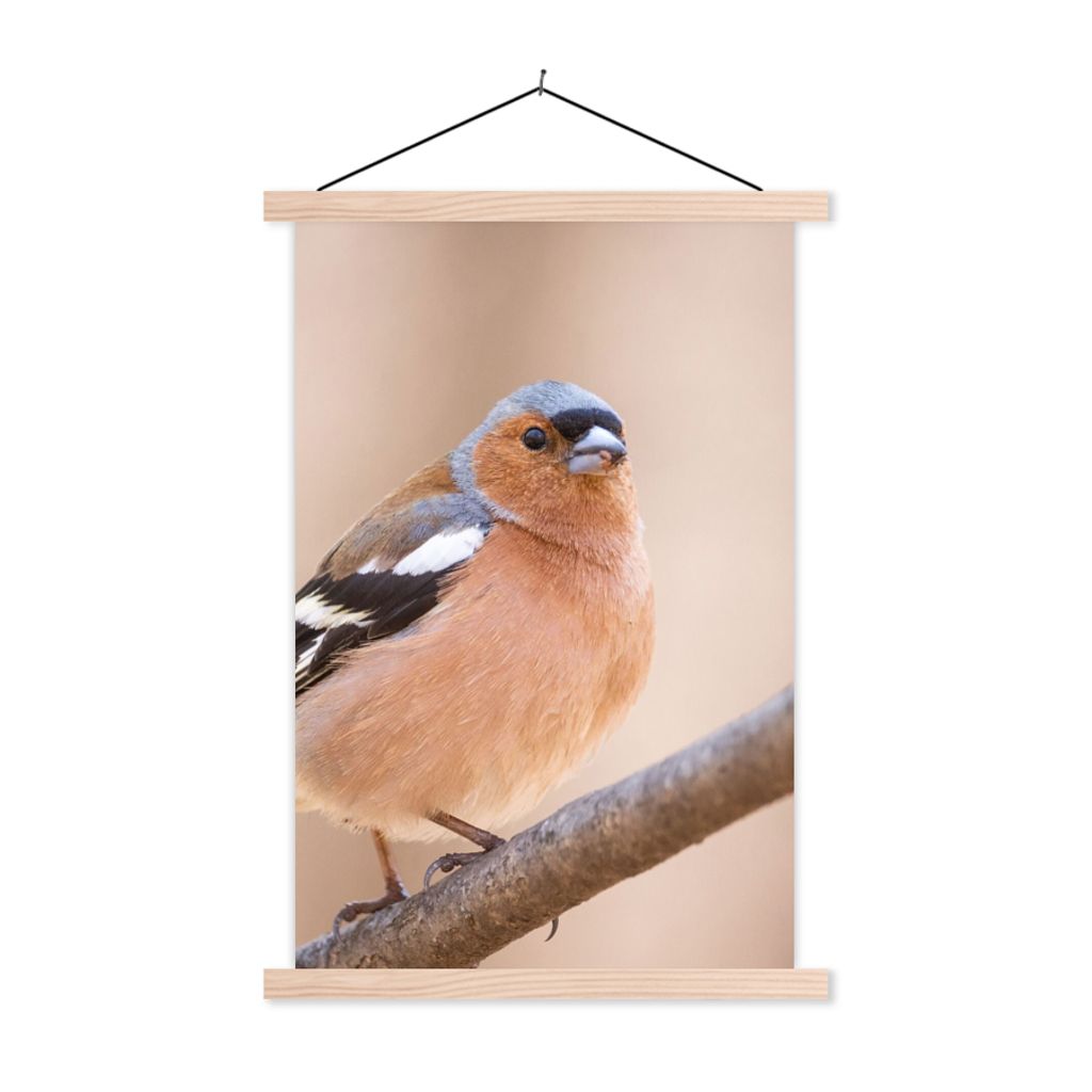 MuchoWow Textilposter Vogel - Tiere - Fink 40x60 cm mit holzfarbenen Rahmen - Poster