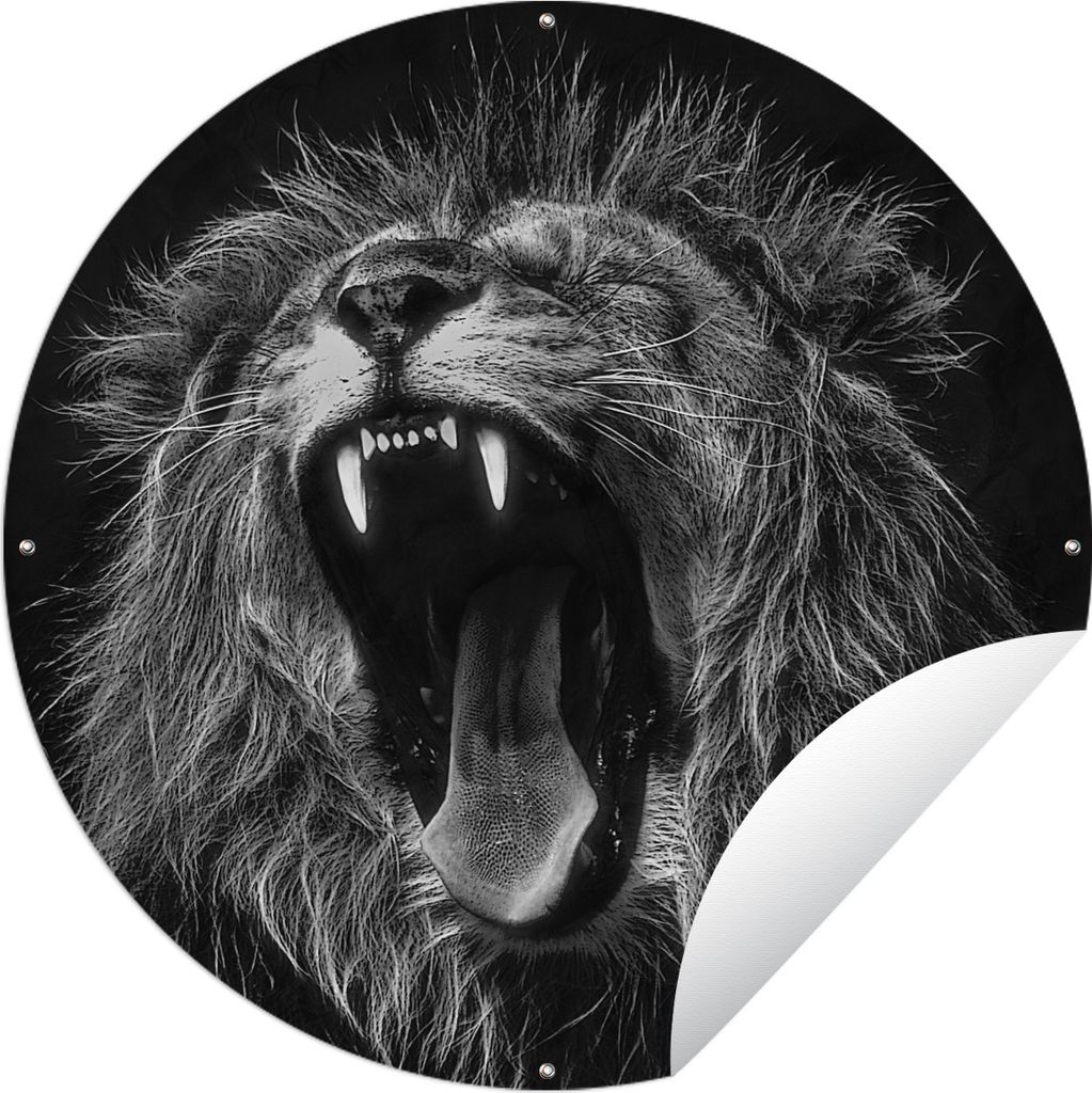 MuchoWow Gartenposter Outdoor-Poster Rund Löwen - Profil - Schwarz - Weiß Ø 150 cm Gartendeko Rundes Poster draußen