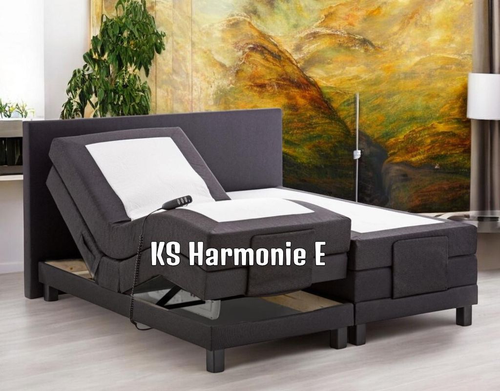Boxspringbett Harmonie 180x200 mit 2 Nachtkonsolen elektrisch verstellbar Härtegrad H2 H3 Boxspringbett mit Motor inkl. Lieferung und Montage