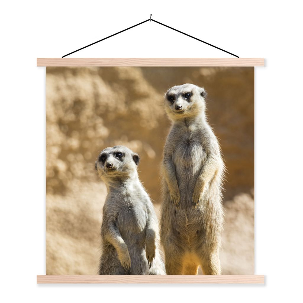 MuchoWow Textilposter Felsen - Erdmännchen - Tiere 60x60 cm mit holzfarbenen Rahmen - Wanddekoration