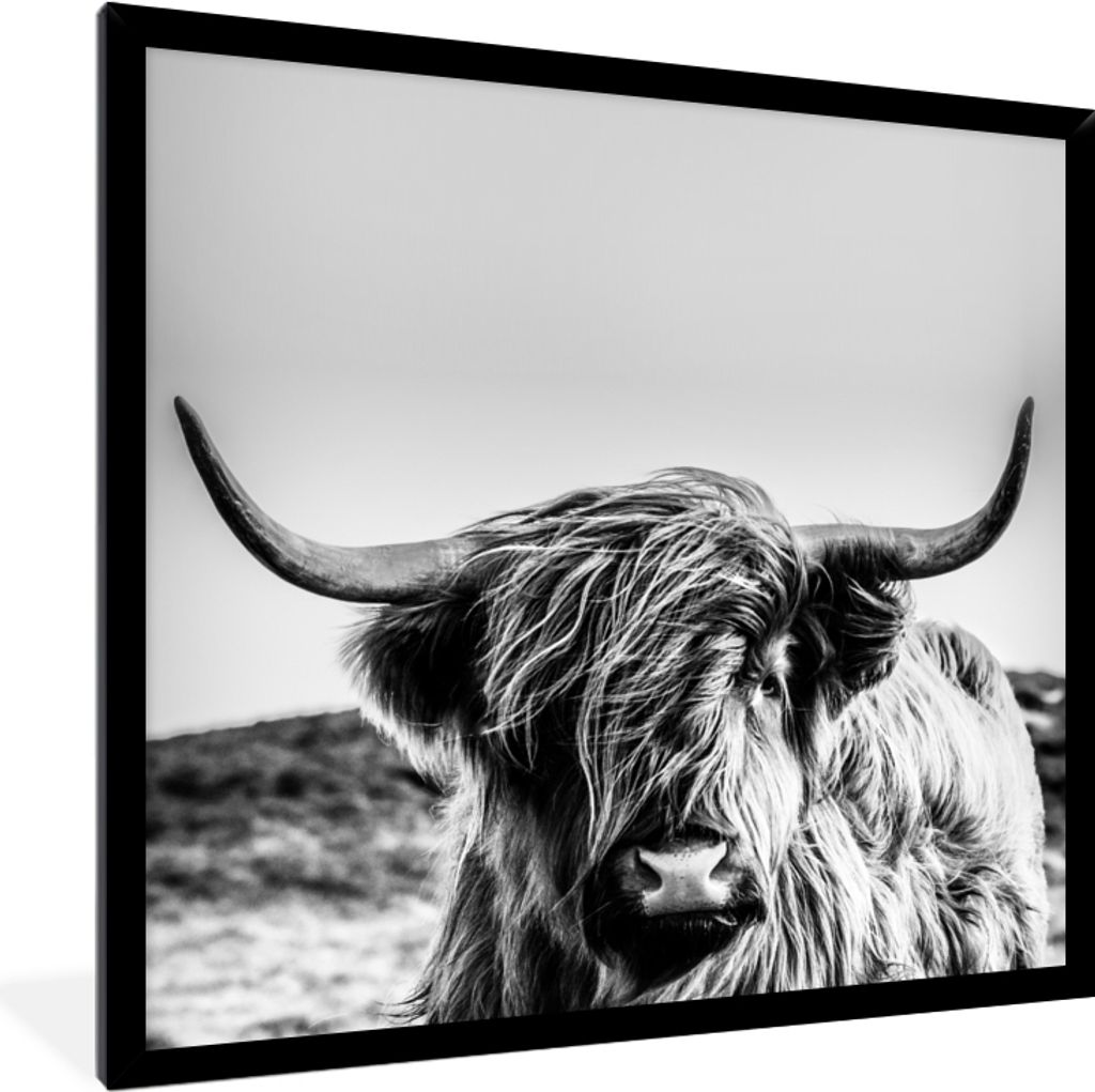 MuchoWow Gerahmtes Poster Kuh - Schottischer Hochländer - Schwarz - Weiß - Tier - Natur - Wildtiere 40x40 cm - Poster mit Schwarzem Bilderrahme...