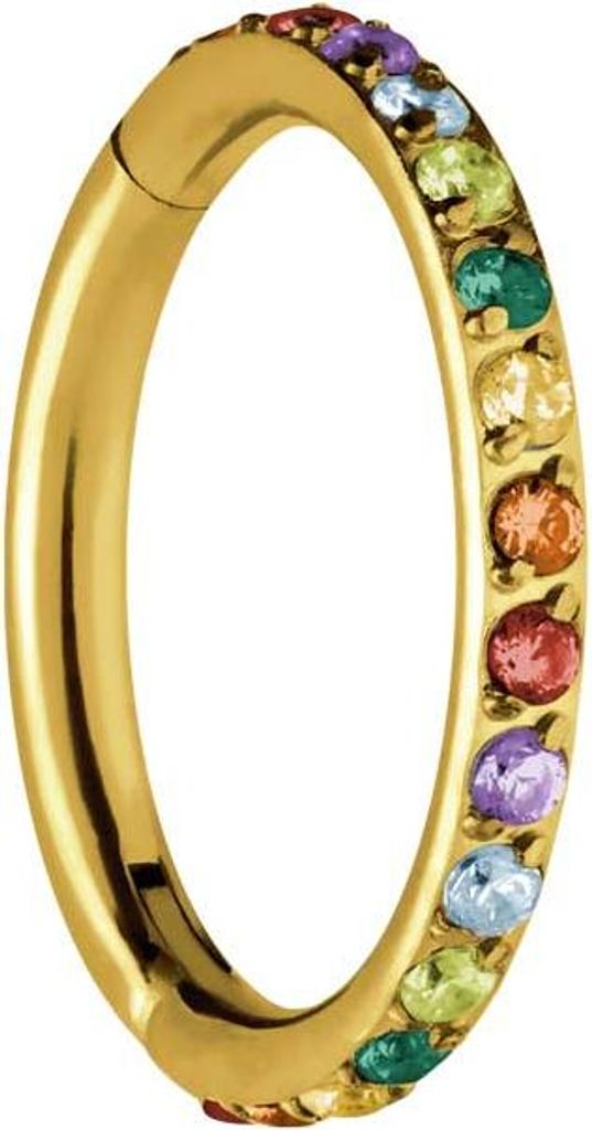 Ohrpiercing, Nasenpiercing, Septum Piercing Titan Segmentring Clicker EINGEFASSTE BUNTE KRISTALLE Gold Innendurchmesser: 8 mm