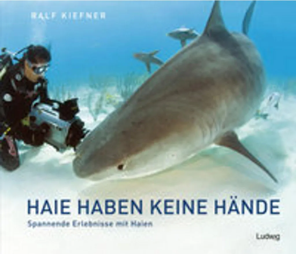 Livre Haie haben keine Hände récits passionnants sur les requins sauvages