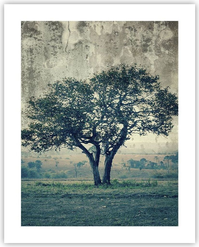 Poster - Poster ohne Rahmen - Baum Natur Feld - 40x50 cm - Wand Bild - Wanddeko - Wandbilder - Kunstposter - Wandposter - Bilder - Kunstdruck - Wan...