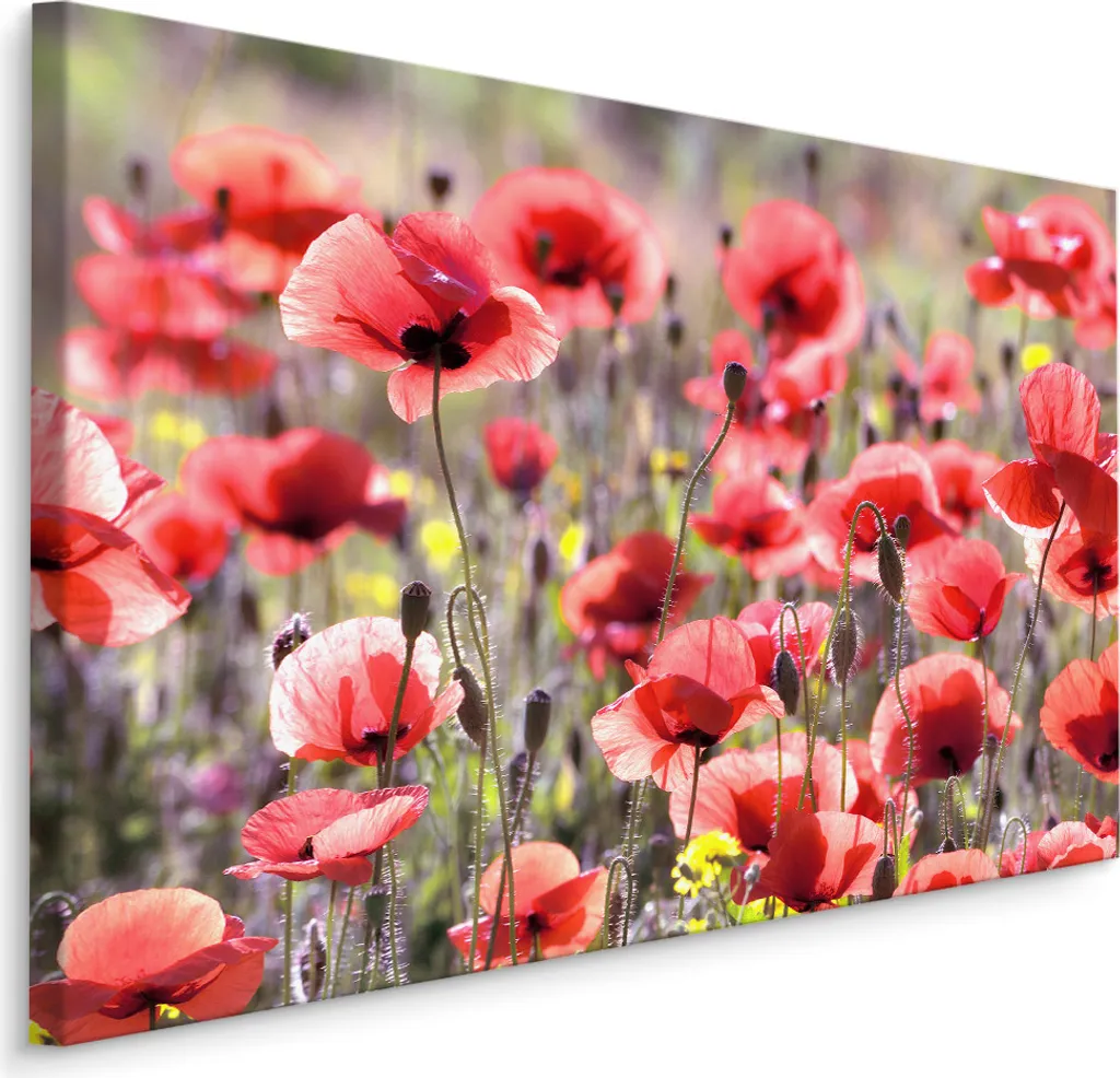 Decorazione Parete Tela 90x60 cm Papaveri Rossi - Arte Floreale Moderna - 1