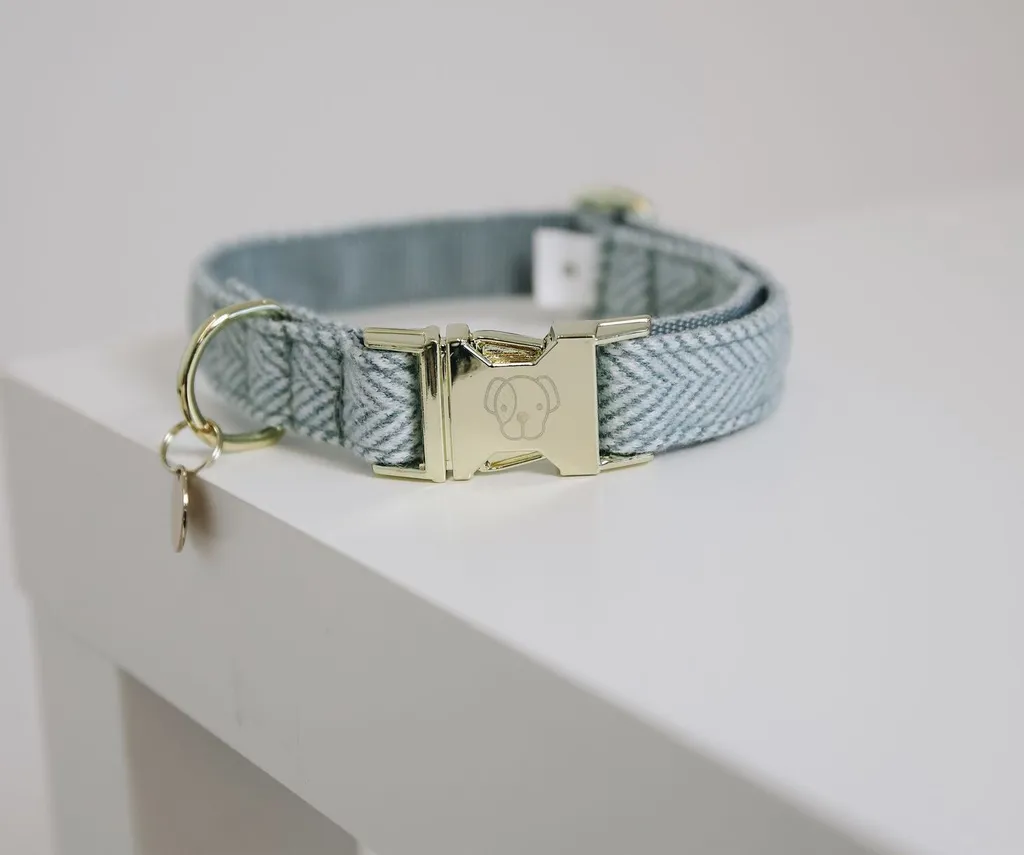 Collare Lana Kentucky Dogwear: Recensione e Guida all'Acquisto Online