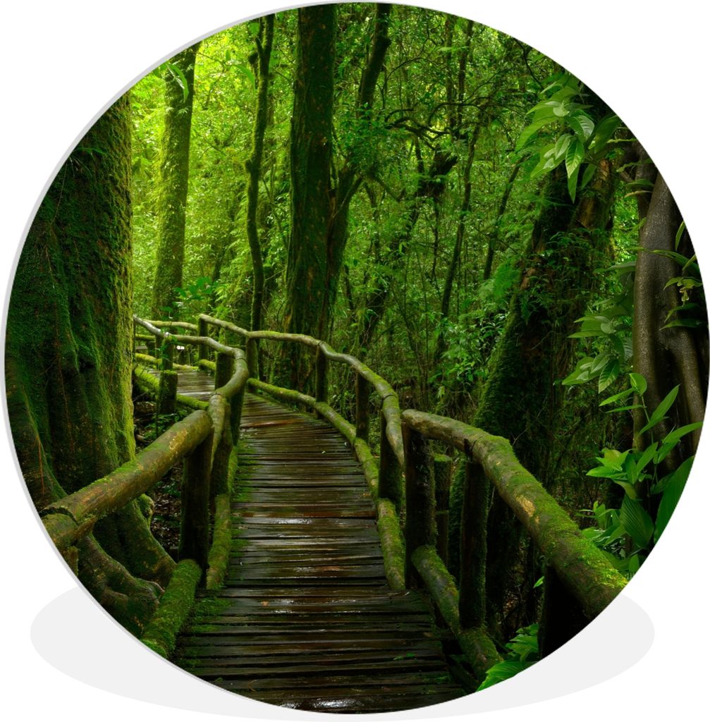 MuchoWow Rundes Wandbild - Runde Bilder Dschungel - Brücke - Moos - Natur - Tropisch Ø 90 cm Kreis Wanddekoration Kunststoff - Wandkreis - Wand...
