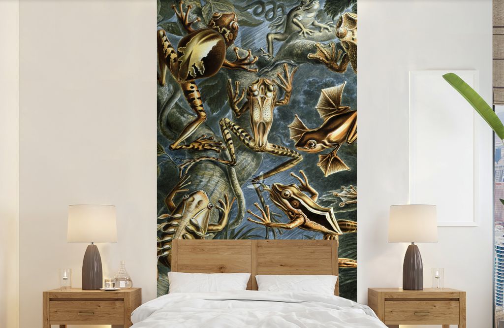 MuchoWow Fototapete für Wohnzimmer oder Schlafzimmer Wandtapete Vinyl Motivtapete Batrachia - Haeckel - Alte Meister - 120x240 cm - Hintergrundbild