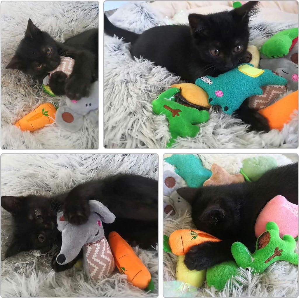 12 Stück Katzenminze Spielzeug, Plüsch Kratzspielzeug zur Zahnreinigung
