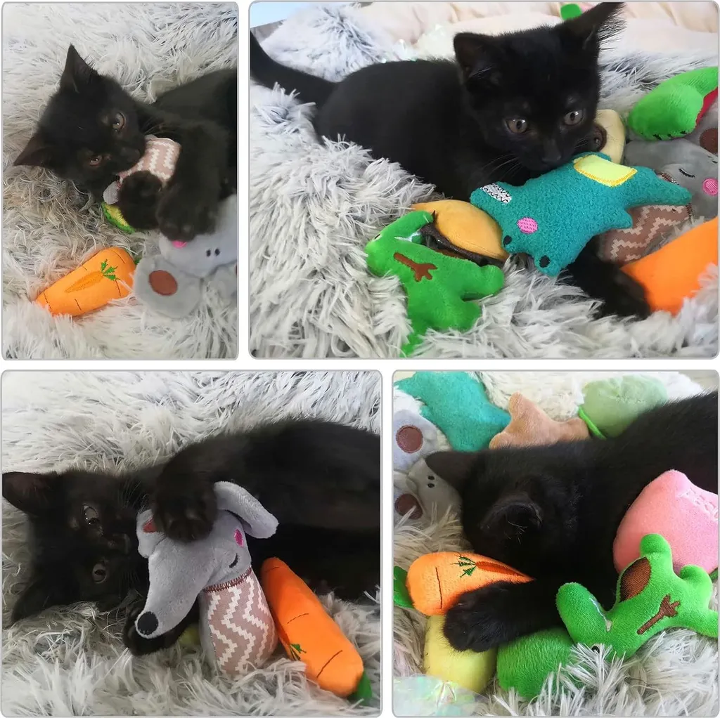 Jouet à l'Herbe à Chat : Lot de 12 Coussins à Mâcher pour Félin Actif